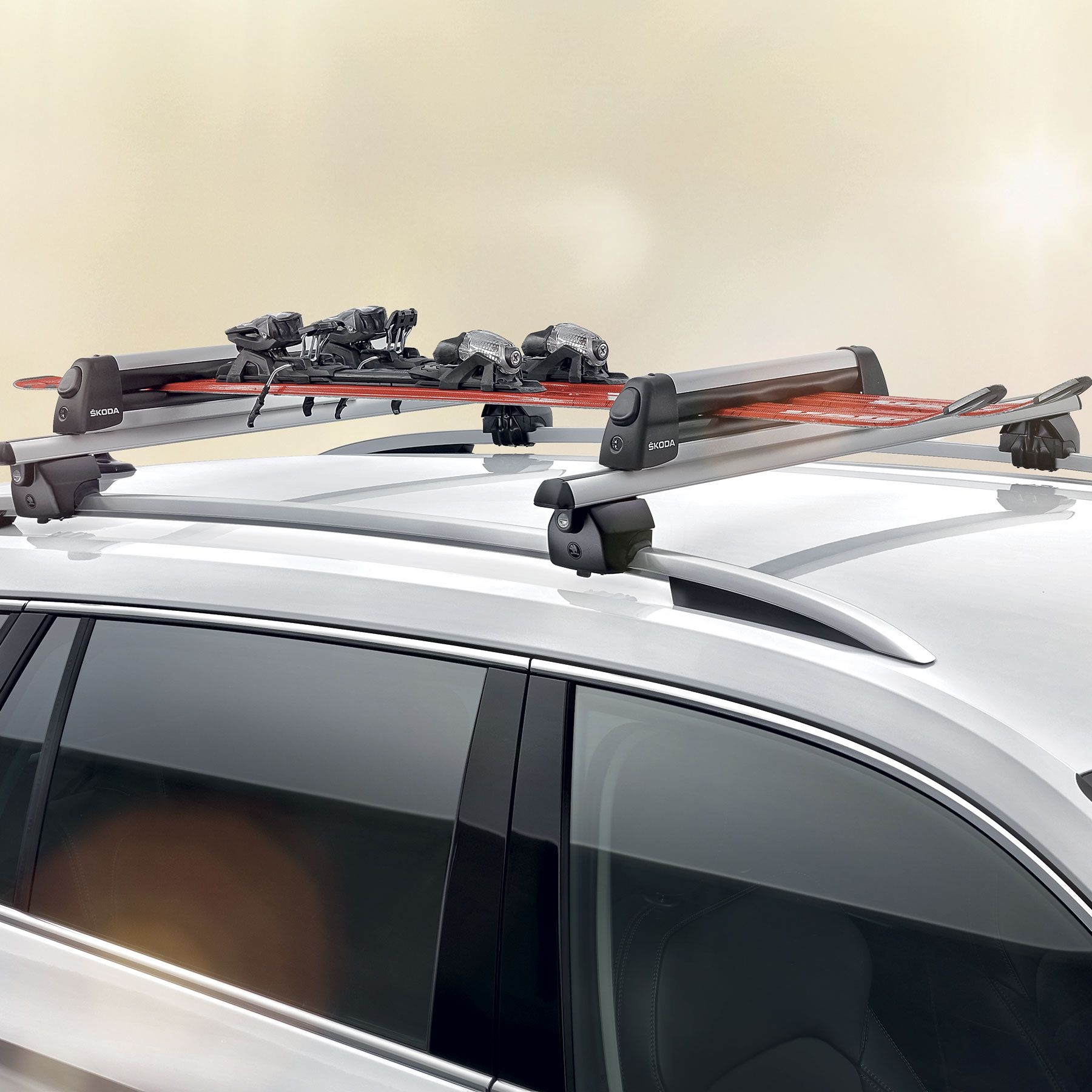 Porte-skis et snowboard coulissant