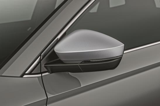 Coques de rétroviseurs